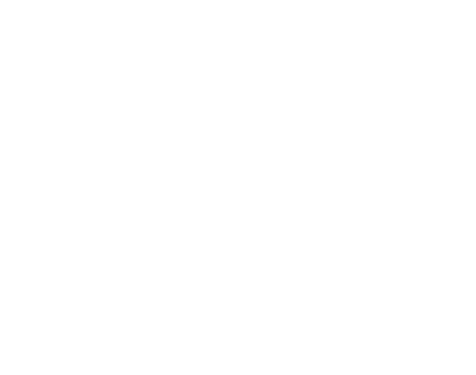 Picasee Logo